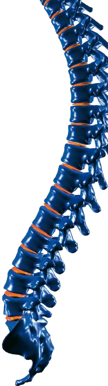 A blue and orange spine